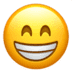 :grin: :grin: