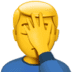 :man_facepalming: :man_facepalming: