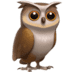 :owl: :owl: