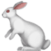:rabbit2: :rabbit2: